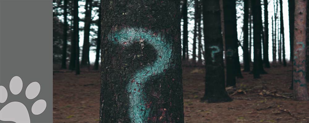 do you need images on your ada signs featured image 1000px 400px : alpha dog ada signs