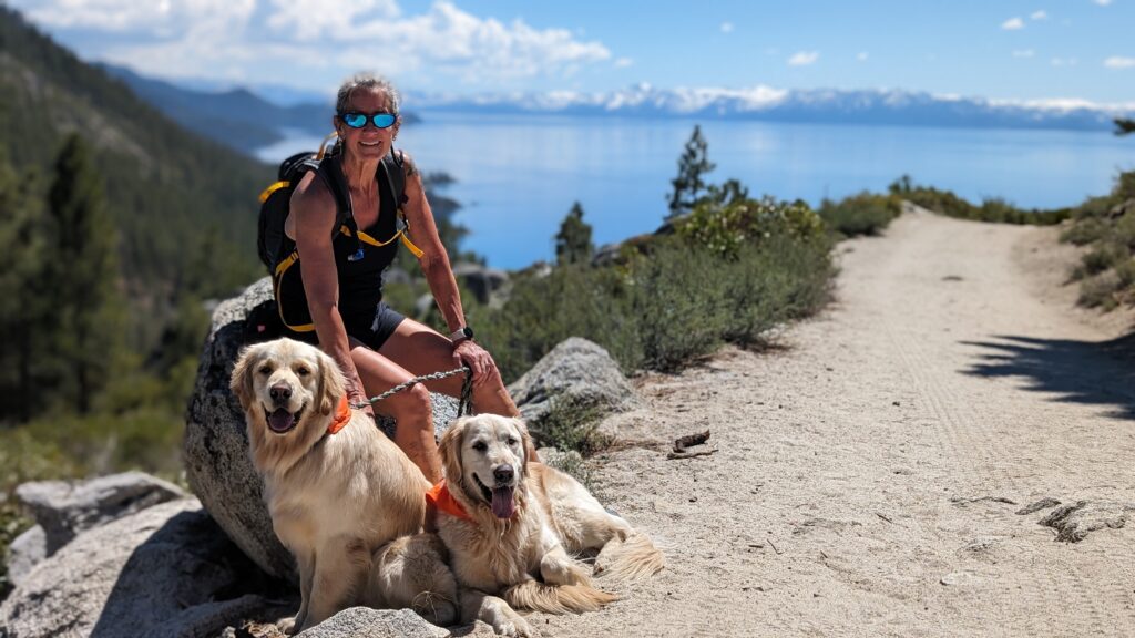 Alpha Dog ADA signs at Lake Tahoe