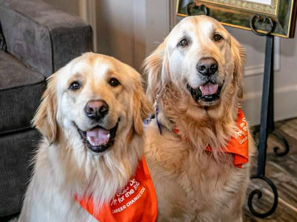 The Alpha Dogs from Alpha Dog ADA Signs