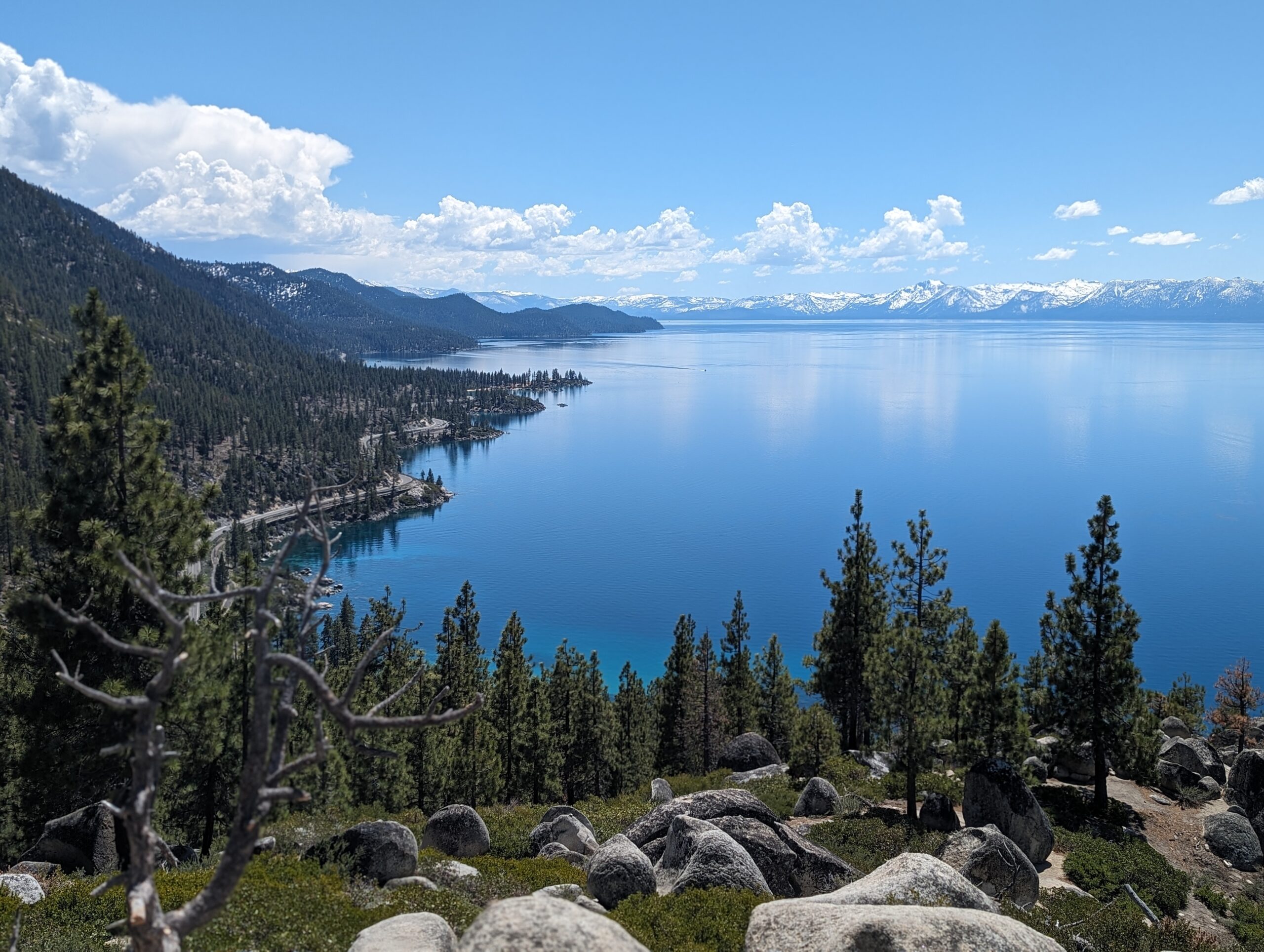 About Us | Alpha Dog AD Signs